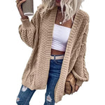 Imily Bela Oversized Cable Knit Cardigan