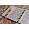 Spiral Bound Illustrating Bible