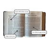 Jesus Bible Artist Edition ESV
