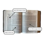 Jesus Bible Artist Edition ESV