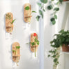 Boho Glass Wall Planter