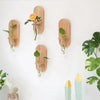 Boho Glass Wall Planter