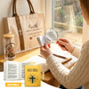 Scripture Gift Bundle